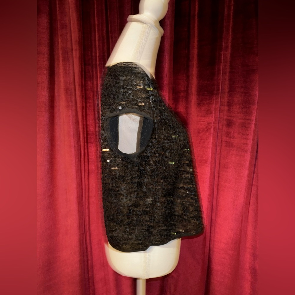 Sequins Blouse. - image 4